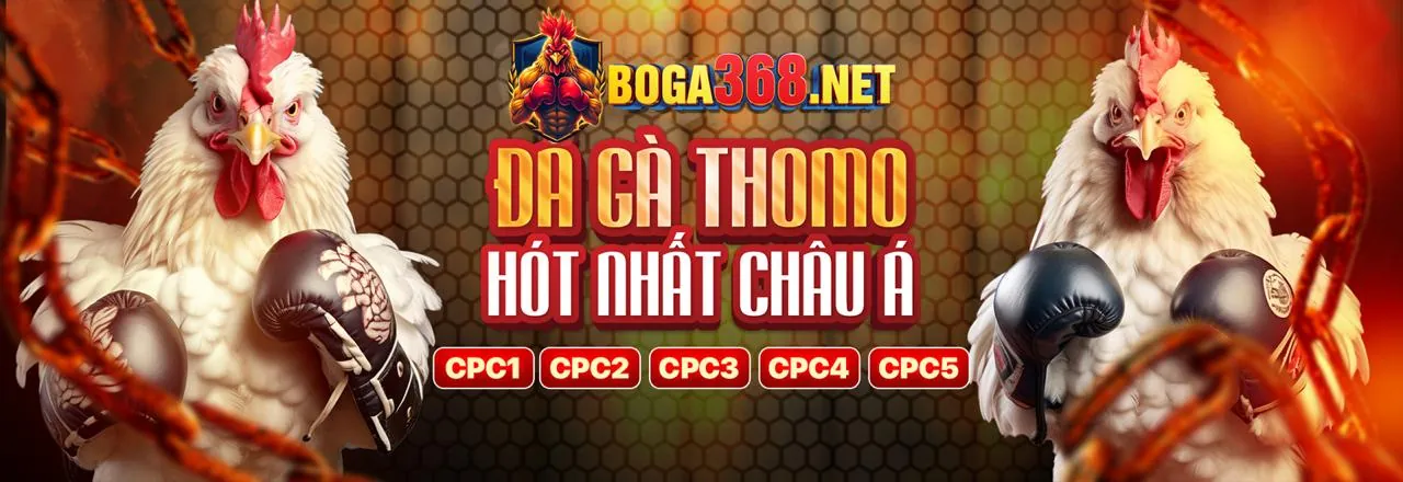 Chương trình hoàn trả hàng ngày/tuần tại bl5555 login